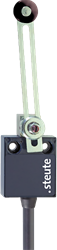 E 12 DS - 2m | Position switch