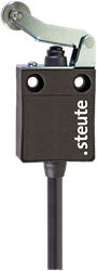 ES 13 WHL 1Ö/1S - 2m | Position switch with safety function