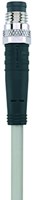 AL-SSP3-10/S370GY | M8 connector, 3p, male 0°, 10 m, PUR