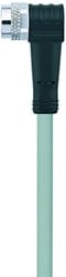 AL-SWKP4-5/P00 | M8 connector, 4p, female 90°, 5 m, PVC