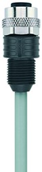 AL-WAKG4-10/P00 | M12 connector, 4p, female 0°, 10 m, PVC