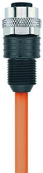 AL-WAKG4-2/S7400 | M12 connector, 4p, female 0°, 2 m, PUR