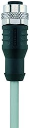 AL-WAK4-2/P00 | M12 connector, 4p, female 0°, 2 m, PVC