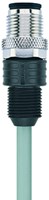 AL-WASG4-5/S370GY | M12 connector, 4p, male 0°, 5 m, PUR