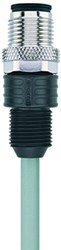 AL-WASG4-10/S370GY | M12 connector, 4p, male 0°, 10 m, PUR