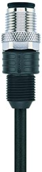 AL-WASG4-2/S370 | M12 connector, 4p, male 0°, 2 m, PUR