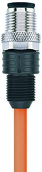 AL-WASG4-2/S7400 | M12 connector, 4p, male 0°, 2 m, PUR