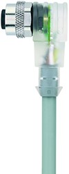 AL-WWAK4P3.1-5/P00 | M12 connector, 4p, female 90°, 5 m, PVC, LED