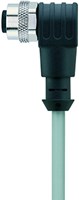 AL-WWAK8-5/P01 | M12 connector, 8p, female 90°, 5 m, PVC