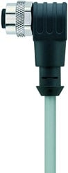 AL-WWAK4-2/P00 | M12 connector, 4p, female 90°, 2 m, PVC