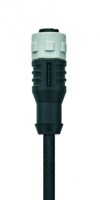 AL-WAKK4-2-WASK4/S370 | M12/M12 connector, 4p, female 0°/male 0°, 2 m, PUR, grey nut