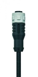 AL-WAKK4-5/S370 | M12 connector, 4p, female 0°, 5 m, PUR, grey nut