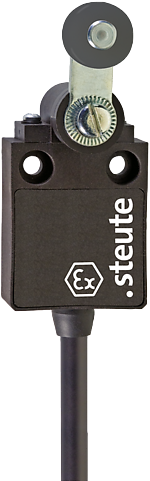 Ex 13 D 1Ö/1S - 2m | Position switch with safety function, Ex