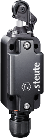 Ex ES 99 H-02 -60°C X | Position switch, Ex