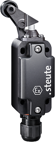 Ex ES 99 PH-11 -60°C X | Position switch, Ex