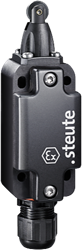 Ex ES 99 R-02 -60°C X | Position switch, Ex