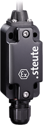 Ex ES 99 S-02 -60°C X | Position switch, Ex