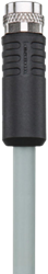 AL-SKPS8-2/P00 | M8 connector, 8p, female 0°, 2m, PVC, shielded
