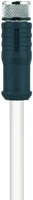 HT-SKP4-5/S2430 | M8 connector, 4p, female 0°, 5 m, PTFE, high temp.