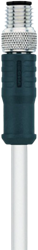 HT-SSP3-2/S2430 | M8 connector, 3p, male 0°, 2 m, PTFE, high temp.