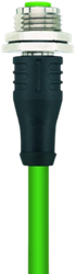 IE-FKFDSX8.066-2-IE-RJ45SS8.002/S3500 | M12/RJ45 cable, 8p, female 0°, 2 m, PUR