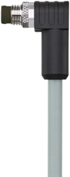 AL-SSPS8-10/P00 | M8 connector, 8p, male 90°, 10m, PVC, shielded