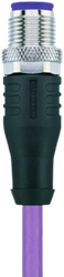 PB-WASSW2.012-2/S1800 | M12 connector, 5p, male 0°, 2 m, PUR, Profibus