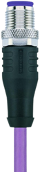 PB-WASSW2.012-5/S1800 | M12 connector, 5p, male 0°, 5 m, PUR, Profibus