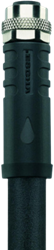 PS-AM12K4.155-5/S5015 | M12 connector, 4p, female 0°, 5 m, PUR, power