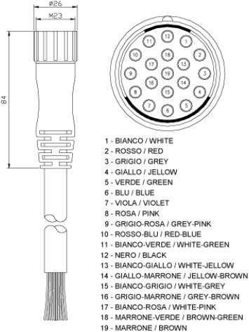 reer-m23-19p-female-5m-connections