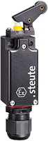 Ex ES 97 WPH-11 -60°C | Position switch, Ex