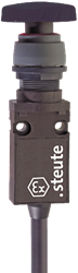 Ex 14 RS SW - 1m | Position switch, Ex