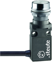 Ex 14 RT-S-V2A - 1m | Position switch, Ex