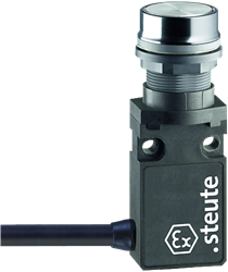 Ex 14 RT-S-V2A - 1m | Position switch, Ex