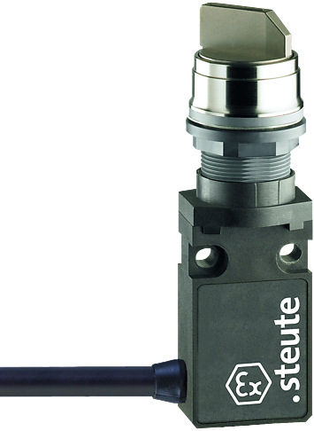 Ex 14 RWB-S-V2A I - 0 - II - 1m | Position switch, Ex