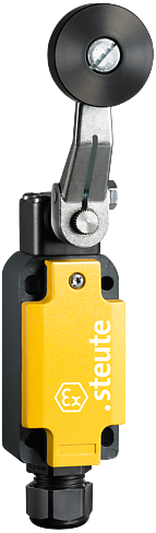 Ex EM 98 DL-11 -40 °C | Position switch, Ex