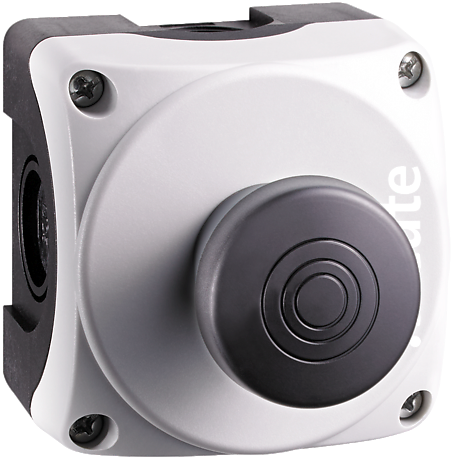RF BF 74 RS SW SW868-BATT | Radio command device