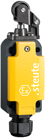 Ex ES 98 H-11-3G/D | Position switch with safety function, Ex