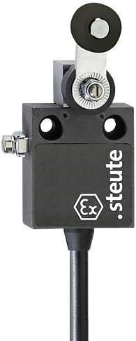 Ex 12 D - 5m | Position switch, Ex