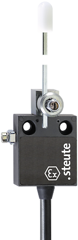 Ex 12 DD - 2m | Position switch, Ex
