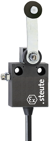 Ex 12 DL - 5m | Position switch, Ex