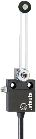 Ex 12 DS - 5m | Position switch, Ex