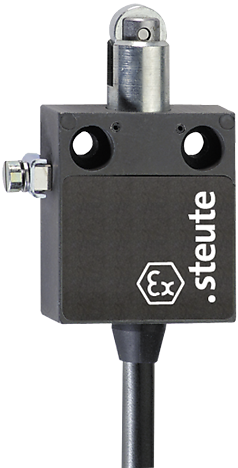 Ex 12 R - 2m | Position switch, Ex