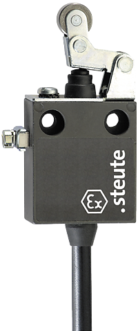Ex 12 WHK - 2m | Position switch, Ex