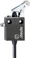 Ex 12 WPH - 5m | Position switch, Ex