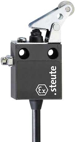 Ex 12 WPH - 2m | Position switch, Ex