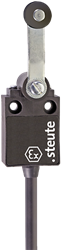Ex 13 DL 1Ö/1S - 2m | Position switch with safety function, Ex