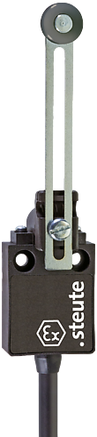 Ex 13 DS 1Ö/1S - 2m | Position switch, Ex