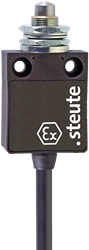 Ex 13 F 1Ö/1S - 5m | Position switch with safety function, Ex