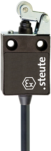 Ex 13 WH 1Ö/1S - 5m | Position switch with safety function, Ex